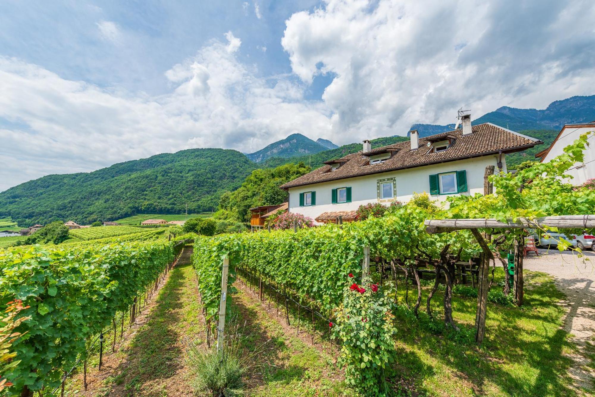 Weinhof Am See 칼다로 외부 사진
